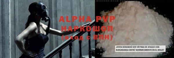 гидра Бородино