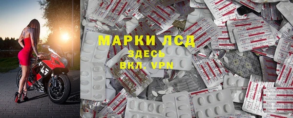 гидра Володарск