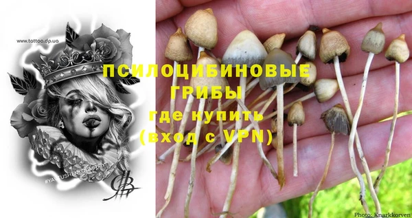 гидра Володарск