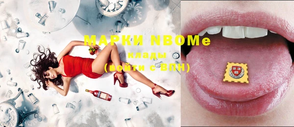 шишки Лабытнанги