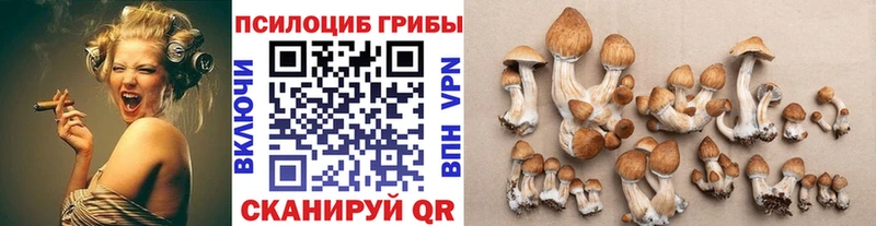 darknet официальный сайт  Иланский  Псилоцибиновые грибы прущие грибы 